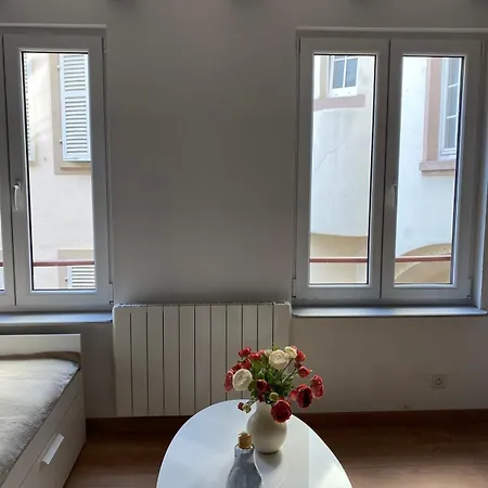 Apartamento Beau Dans L Hyper Centre